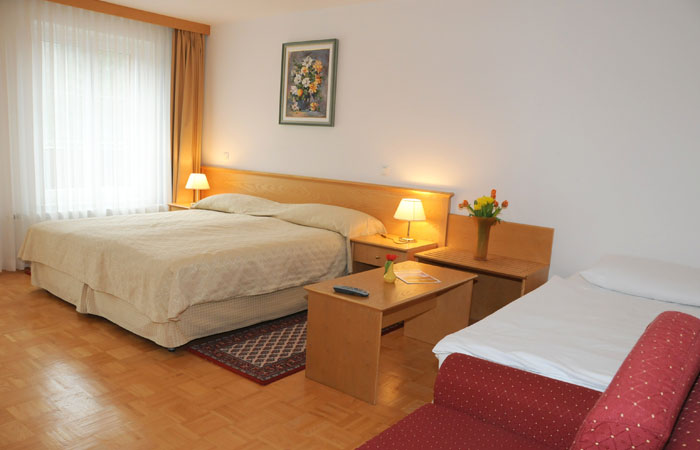 Park Hotel Grenoble