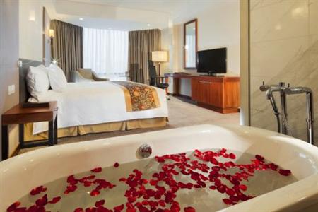 Hyatt Regency West Hanoi