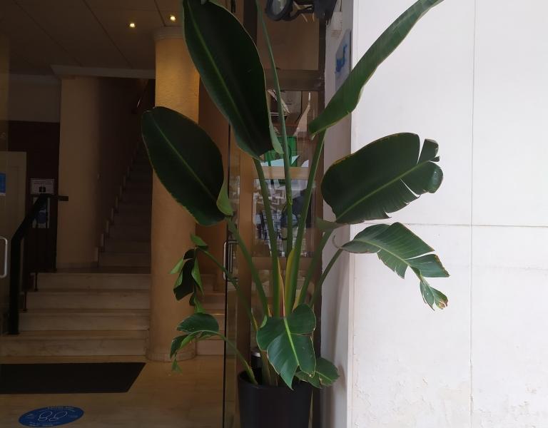 Hotel Eden Mar