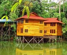 Borneo Tropical Rainforest