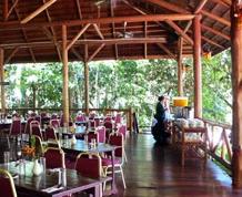 Borneo Tropical Rainforest