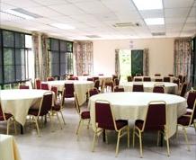 Borneo Tropical Rainforest