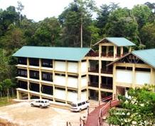 Borneo Tropical Rainforest