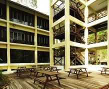 Borneo Tropical Rainforest