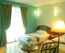 Borneo Tropical Rainforest