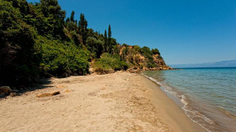 Colonides Beach Hotel 