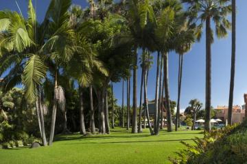 Отель Botanico Испания, о Тенерифе, фото 34