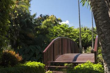 Отель Botanico Испания, о Тенерифе, фото 35