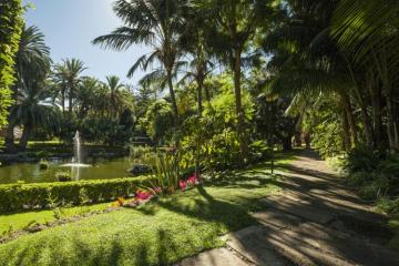 Отель Botanico Испания, о Тенерифе, фото 43