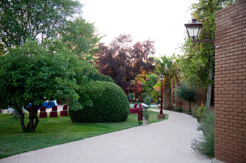 El Hidalgo