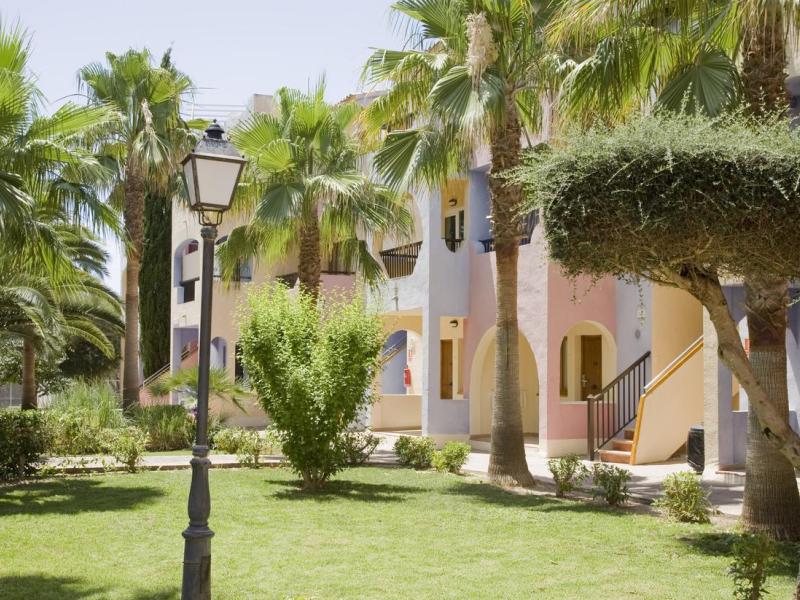 Globales Bouganvilla