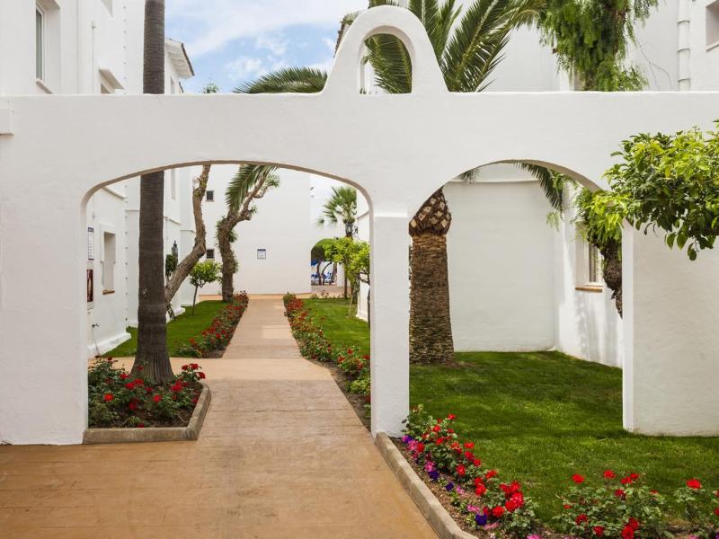 Globales Bouganvilla