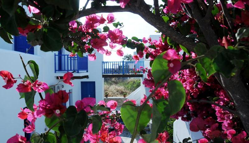 Aegeo Hotel