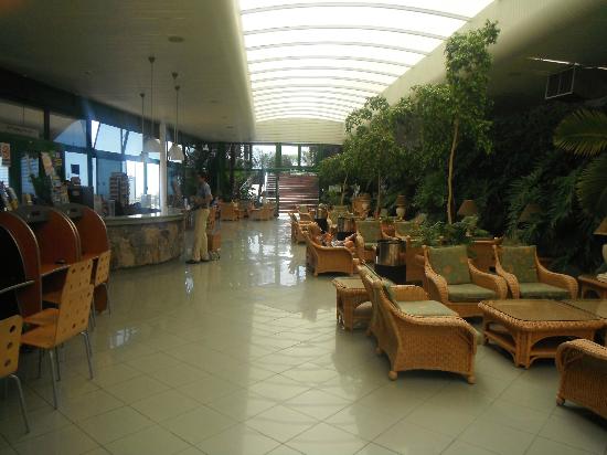 Apartamentos Babalu