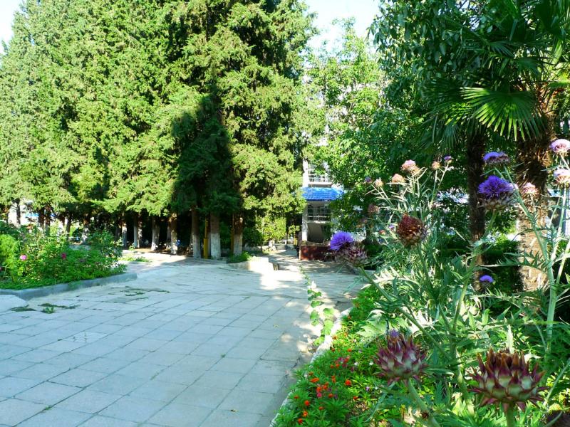 Пансионат Икар