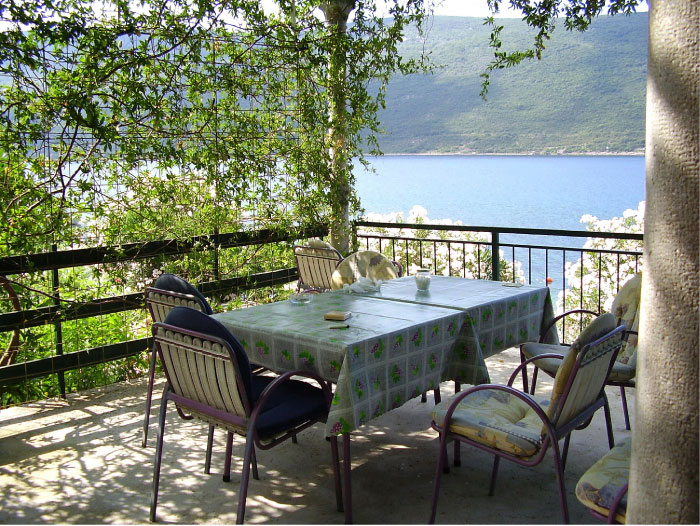 Petrovic Apartment