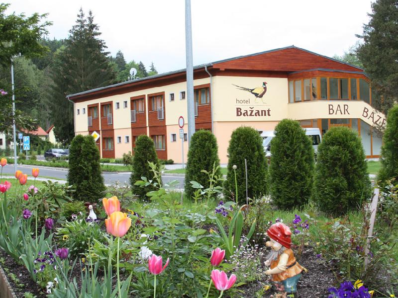 Hotel Bazant