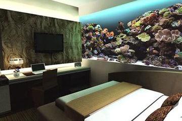 Отель Hotel H2O Филиппины, о. Лусон, фото 4