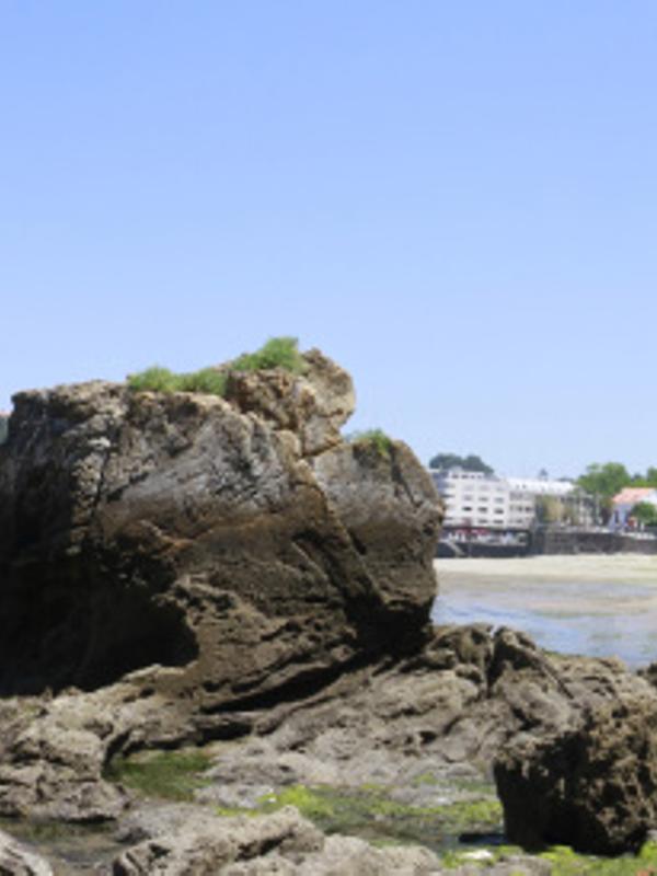 PortoCobo