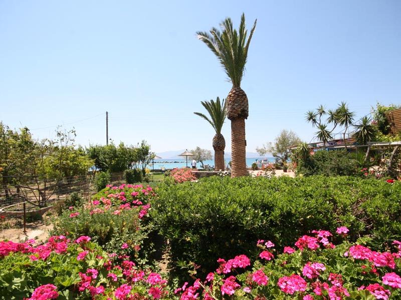 Aghia Anna Hotel