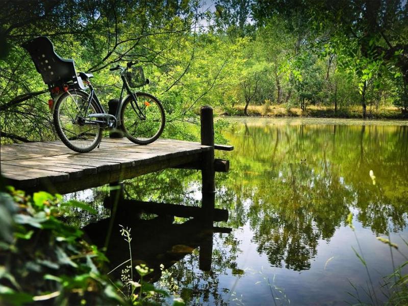 Sheraton Santa Maria de El Paular