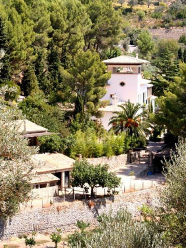 Alfabia Nou