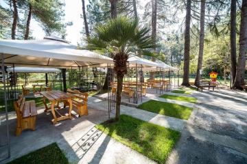 Отель Ирэн Абхазия, Пицунда, фото 16