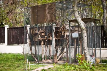 Отель Plaza Россия, Геленджик, фото 6