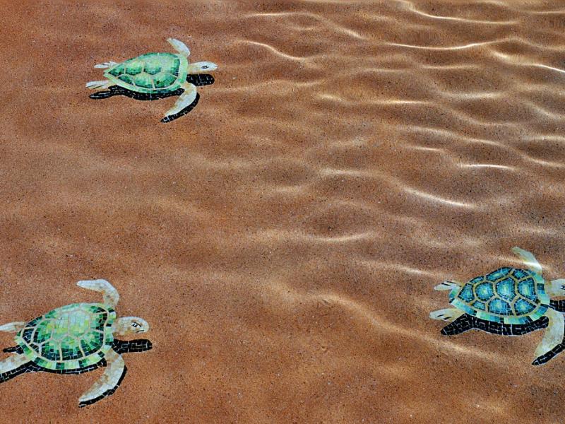 Sheraton Hacienda del Mar Resort & Spa Los Cabos