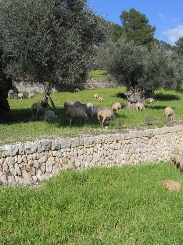 EcoHotel & Spa Monnaber Nou
