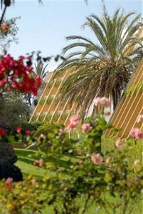 Отель Protur Sa Coma Playa Hotel & Spa Испания, о Майорка, фото 4
