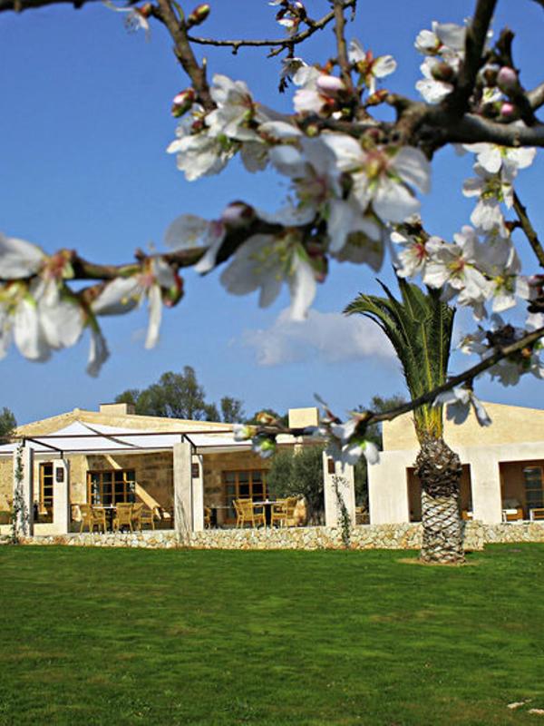 Son Penya Petit Hotel