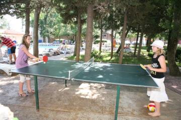 Отель Club Hotel Bor Болгария, Солнечный берег, фото 8
