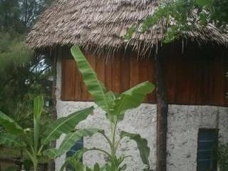 Отель Bellevue Zanzibar Танзания, Бвейуу, фото 4