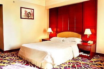 Gardford International