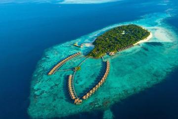 Отель Ayada Maldives Мальдивы, Гаафу Даалу Атолл, фото 15