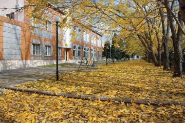 Отель Санаторий Центросоюза РФ Россия, Белокуриха, фото 18