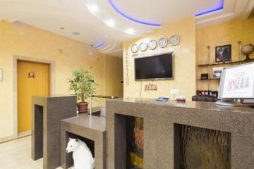 Отель Эль-отель Россия, Сочи, фото 2