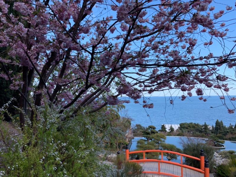 Айвазовское