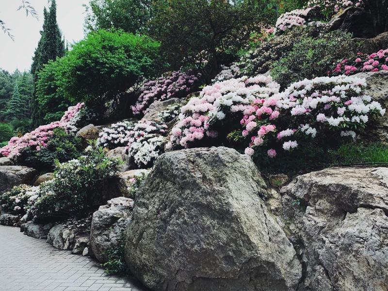 Айвазовское