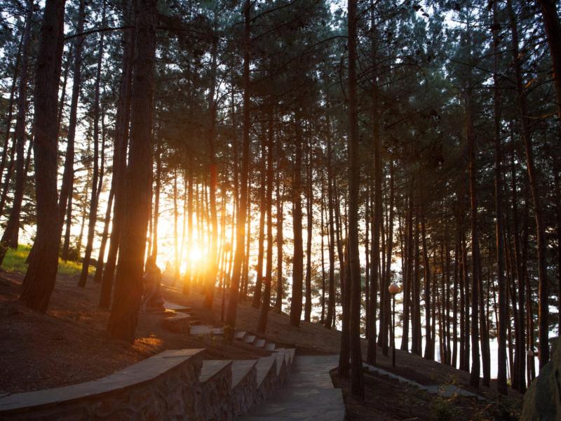 Айвазовское