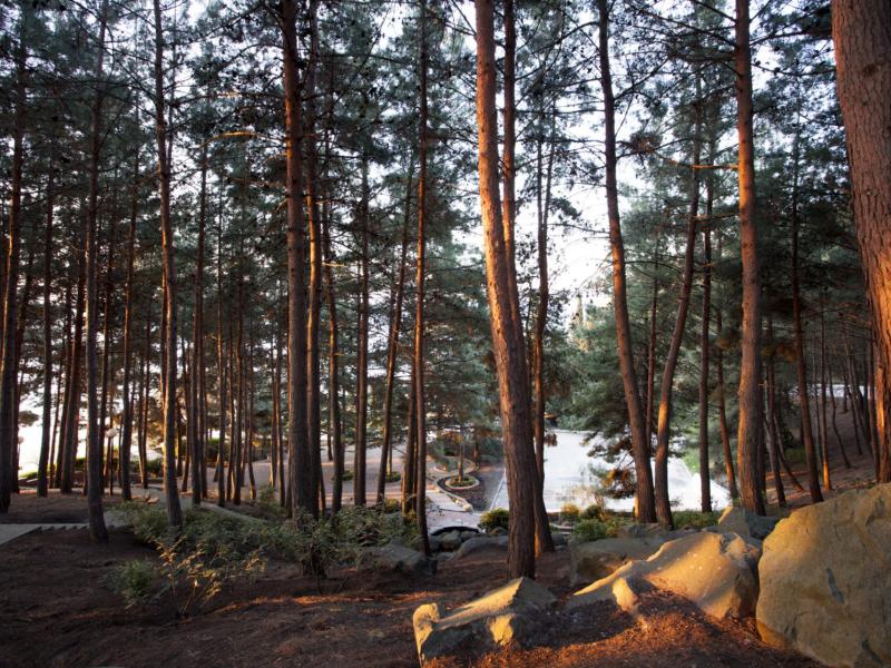 Айвазовское