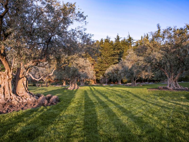 Айвазовское