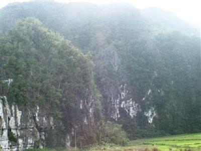 Sheridan Beach Resort