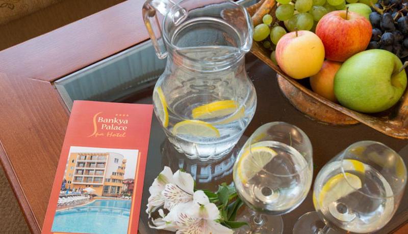 Spa Hotel Bankya Palace