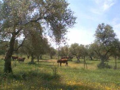 Cortijo El Esparragal