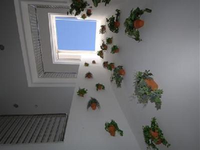 Un Patio en Santa Cruz