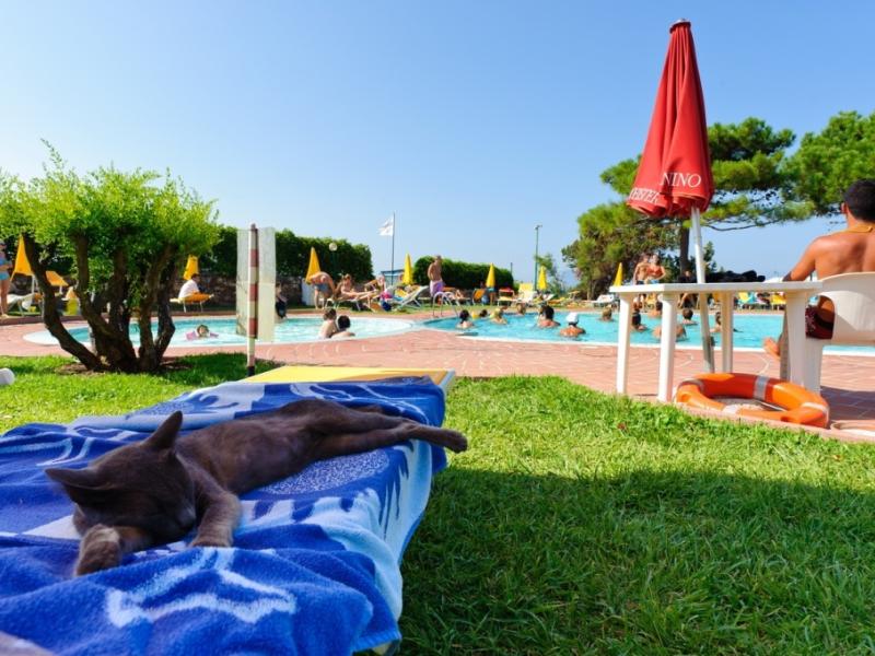 Bungalow Club Village