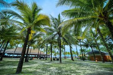 Отель Ananea Beyond Khaolak Таиланд, Као Лак, фото 51