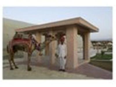 The Greenhouse Resort